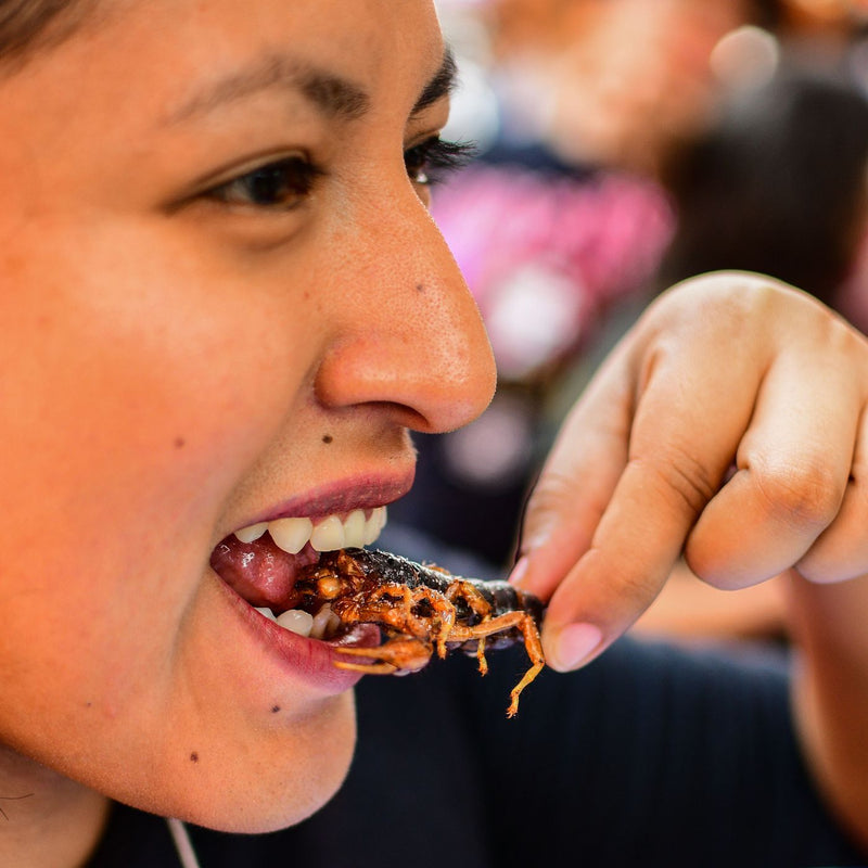 New Meaning to Hearing Crickets!