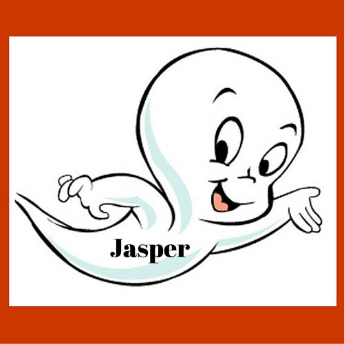 Meet Jasper...The Friendly Gem :-)