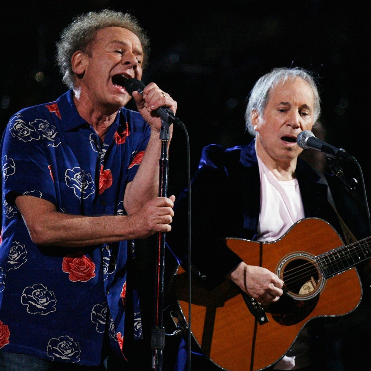 It only took 6 decades to know this about Art Garfunkel!